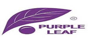 Purple Leaf logo