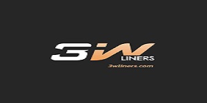 3W Liners logo